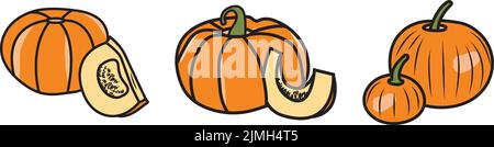 Kürbis Doodle Grafikdesign. Buntes Bild von Gemüse. Vektordarstellung von Linienkunst Stock Vektor
