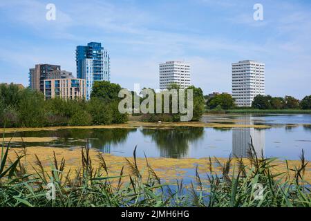 East Reservoir on Woodberry Wetlands, North London UK, im Spätsommer 2022 Stockfoto