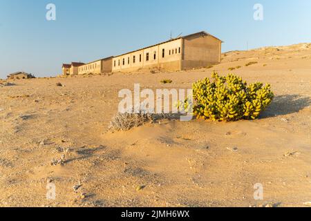 Verlassene Diamantenmine, die den Abbruch des Bauens zeigt und von der Natur zurückgewonnen wurde, Kolmanskop, Luderitz, Namibia Stockfoto