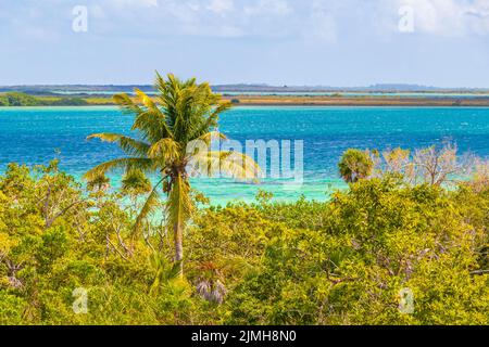 Panoramablick auf die Muyil Lagoon im tropischen Dschungel des erstaunlichen Mexikos. Stockfoto