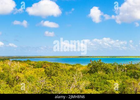 Panoramablick auf die Muyil Lagoon im tropischen Dschungel des erstaunlichen Mexikos. Stockfoto