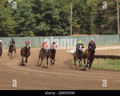 Vollblut-Pferderennen im Monmouth Park in Oceanport, New Jersey Stockfoto