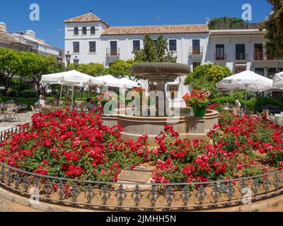 ESTEPONA, ANDALUSIEN/SPANIEN - MAI 5 : Blumenplatz in Estepona Spanien am 5. Mai 2014. Nicht identifizierte Personen. Stockfoto