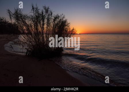 Sawgrass am Strand in Fairhope, Alabama, wird durch den Sonnenuntergang über der Mobile Bay silhouettiert. Stockfoto