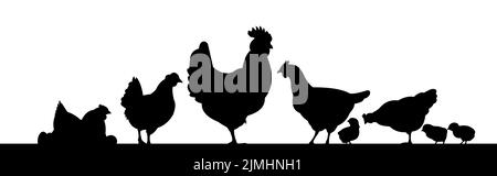 Hühner auf der Weide. Bildsilhouette. Haustiere auf dem Bauernhof. Hausgeflügel, um Eier zu bekommen. Isoliert auf weißem Hintergrund. Vektor. Stock Vektor