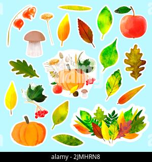 Set Aufkleber mit Herbst-Illustration mit bunten Blättern und Herbsternte von Kürbis, Apfel, Viburnum und Pilz Stock Vektor