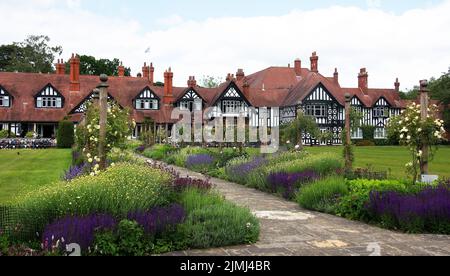 Der lange Spaziergang im Petwood Hotel blüht mit David Austin Rosen nach einer kürzlich erfolgten Gartenrestaurierung durch Gartendesignerin Julie toll hier mit so Stockfoto