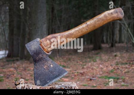 Eine alte Axt steckte in einem Stumpf vor dem Hintergrund des Waldes Stockfoto