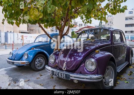 Ein Puplle und ein blau wunderschön gehaltener Chrom-lackierter klassischer Volkswagen Beatle-Wagen parkten in einem Straßenpark unter einem Baum Stockfoto