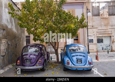 Ein Puplle und ein blau wunderschön gehaltener Chrom-lackierter klassischer Volkswagen Beatle-Wagen parkten in einem Straßenpark unter einem Baum Stockfoto