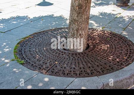 Metallabflussrost auf dem Bürgersteig um einen Baum in der Slowakei. Stockfoto