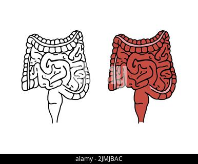 Darmines Doodle Vektorgrafik. Verdauungssystem Cartoon-Symbole auf weißem Hintergrund isoliert. Menschliches inneres Organ in der Hand Stockfoto