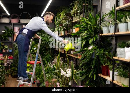 Botaniker auf der Stube, die Topfpflanzen aus der Gießkannen im Gartencenter gießt Stockfoto