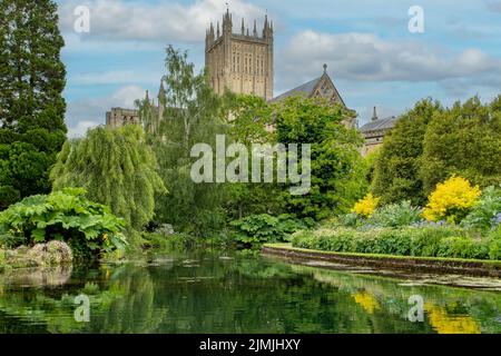 Die Kathedrale von den Gärten im Bishop's Palace, Wells, Somerset, England Stockfoto