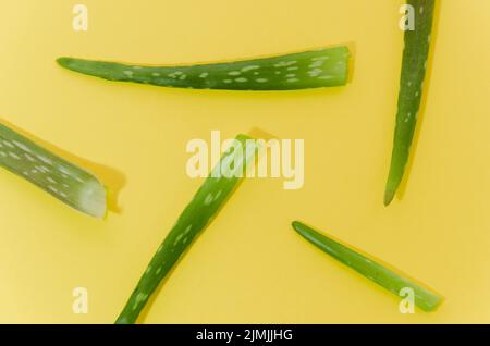 Aloe Vera gelber Hintergrund Stockfoto