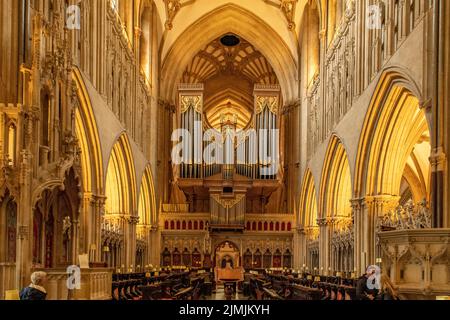 Die Orgel, Kathedrale von Wells, Somerset, England Stockfoto