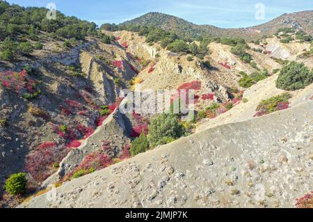 Herbst in den Krimbergen. Stockfoto