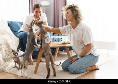 Glückliches kaukasisches Paar und ihre Katzen zu Hause Stockfoto