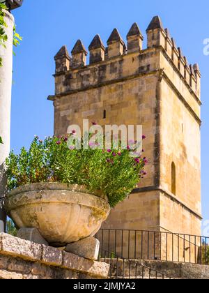 Die Festungen des Alcazar der christlichen Könige Stockfoto