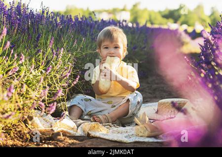 Niedliches kleines Baby in einem Lavendelfeld Stockfoto