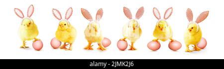 Kleine niedliche Neugeborene Baby Küken für Ostern Feier. Stockfoto