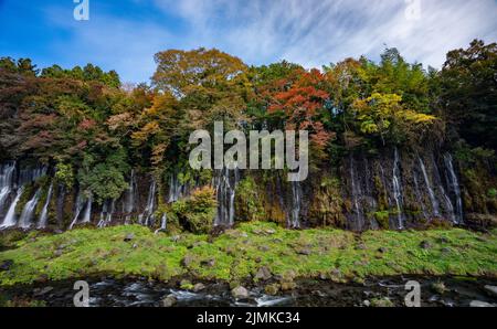 Shiraito Wasserfall im Herbst, Japan Stockfoto