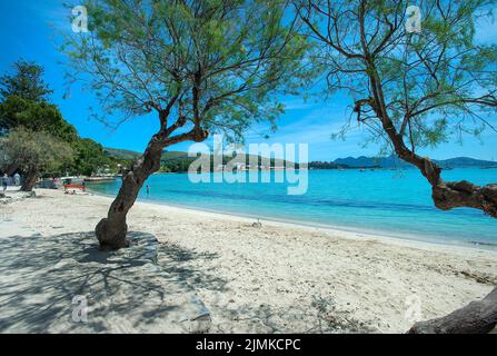 Port Pollenca, Pine Walk, Mallorca, Balearen, Spanien Stockfoto