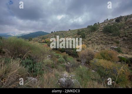 Blick auf den Bach Mediano, im Tal Hueco de San Blas, ein sehr beliebter Ort für Wanderer in der Gemeinde Manzanares el Real, bietet Stockfoto