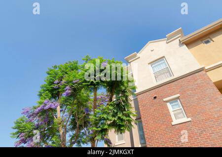 Blick auf ein Wohnhaus in San Marcos, Kalifornien. Außerhalb des Gebäudes befindet sich ein Baum mit violetten Blumen und Ziegelsteinen. Stockfoto
