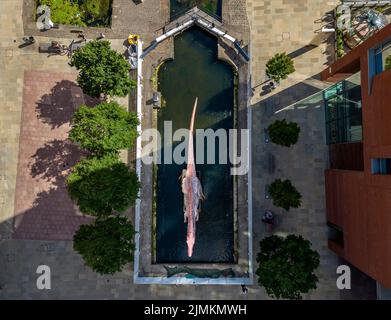 Ein animierter Spinosaurus im Leeds und Liverpool Canal bei Granary Wharf in Leeds während des Leeds Jurassic Trail. Bilddatum: Donnerstag, 4. August 2022. Stockfoto