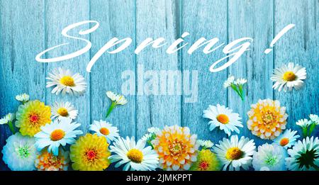 Blumen und Kräuter mit Wort Frühling. Kreative Blumenkomposition. Stockfoto