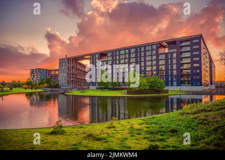Modernes Wohngebäude in der Tom Kristensens Straße im Stadtteil Ã˜restad mit See und grünem Gras bei Sonnenuntergang. Kopenhagen, Den Stockfoto