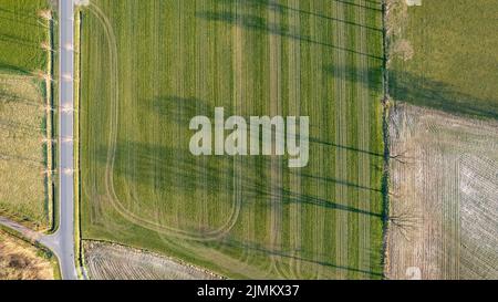 Luftbild geometrische Felder, zeigt eine grüne Wiese und gepflügte Felder, mit einer Drohne gefangen Stockfoto