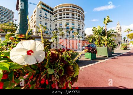 Monaco, Monte-Carlo, 21. August 2017: Markengeschäfte in der Nähe des Hotels Paris und Casino Monte-Carlo bei Sonnenuntergang, Luxusleben, teuer