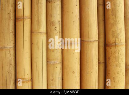 Bambus zaun Hintergrund Stockfoto