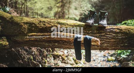 Ein Paar hoch-Trekking-Hochstiefel trocknet mit nassen Socken auf dem über Wald gefällten Bachbaum unter der warmen Herbstsonne. Aktive Menschen in der Natur c Stockfoto