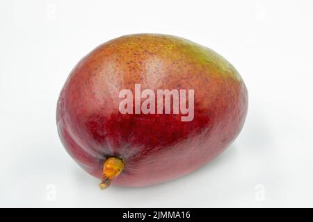 Eine ganze Mango-Frucht Nahaufnahme gegen Weiß Stockfoto