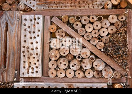 Insektenhotel in einer grünen Hecke gibt Schutz und Nisthilfe für Bienen und andere Insekten.Insektenhotel in einer grünen Hecke gibt p Stockfoto