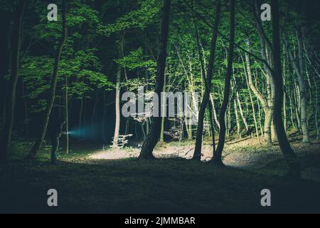 Mann mit eingeschaltetem Blitzlicht in den Händen, der mitten im Dunklen Wald steht und die Natur während seines Nachtspaziergangs erkundet. Wunderschön Aufgehellt Stockfoto