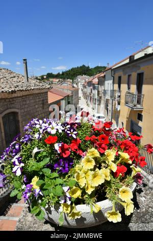 Eine Blumenvase in einer schmalen Straße von Montaguto, einem ländlichen Dorf in der Provinz Avellino in Kampanien, Italien. Stockfoto