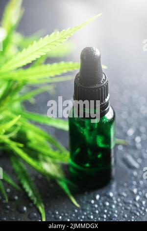 Cannabispflanze und Flasche mit einem CBD-Öl Stockfoto