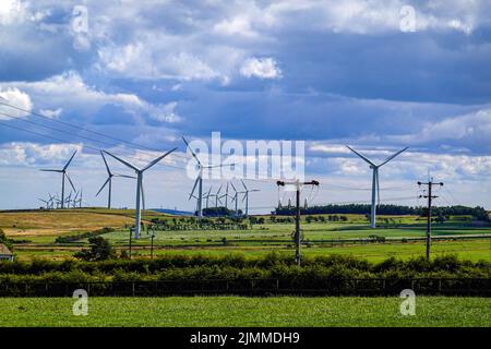 Royd Moor Windfarm, Barnsley, Huddersfield, West Yorkshire, Großbritannien Stockfoto