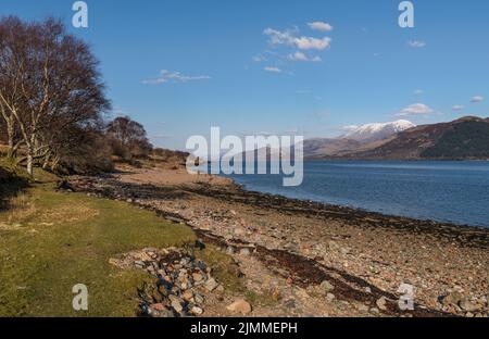 Blick nach Norden über Loch Linnhe von Ardgour in Richtung Fort William und Schnee überragt Ben Nevis unter einem klaren blauen Himmel mit weißen, flauschigen Wolken. Stockfoto