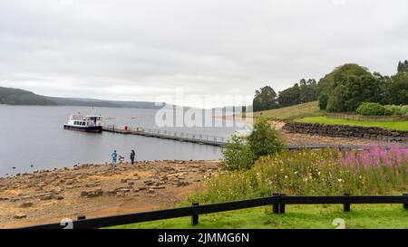 Blick auf den Stausee vom Leaplish Waterside Park in Kielder Water, Northumberland, Großbritannien. Stockfoto