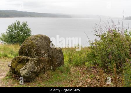 Blick auf den Stausee während eines leichten Regensturms, neben der Igel-Skulpturenbank in der Nähe des Leaplish Waterside Park, Kielder Water, Northumberland, Großbritannien. Stockfoto