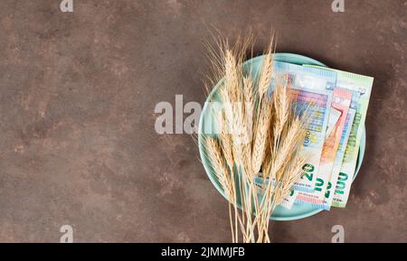 Teller mit Weizen- und Euro-Banknoten, Lebensmittelknappheit und steigenden Preisen, Armut durch Inflation Stockfoto