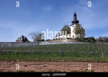 Katholische Pfarrkirche St. Kilian in Nierstein Stockfoto