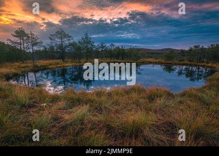 Wunderschöne Herbstlandschaft und kleiner See im Sumpf. Fantastische Sonnenaufgangslichter und bunte Wolken spiegeln sich im Moor Tinovul Mohos auf dem Wasser Stockfoto