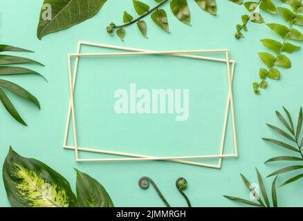 Draufsicht Anordnung grüner Blätter mit leeren Rahmen Stockfoto