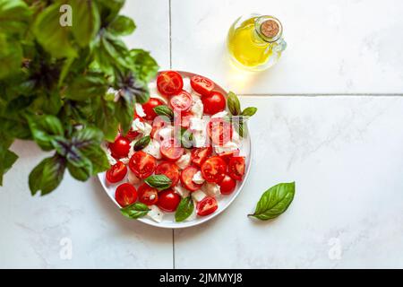 Portion Caprese-Salat unter Basilikum-Pflanze, Konzept der Heimarbeit, Draufsicht, Kopierraum Stockfoto